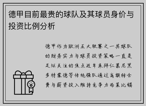 德甲目前最贵的球队及其球员身价与投资比例分析